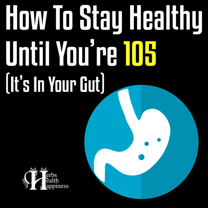 How To Stay Healthy Until You’re 105 (It’s In Your Gut)