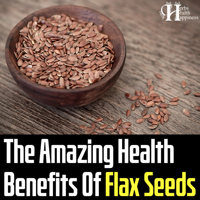 The Amazing Health Benefits Of Flax Seeds