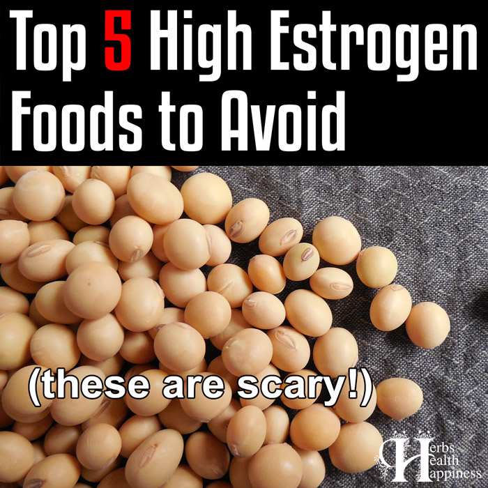 The Top 5 High Estrogen Foods to Avoid - Dr Josh Axe