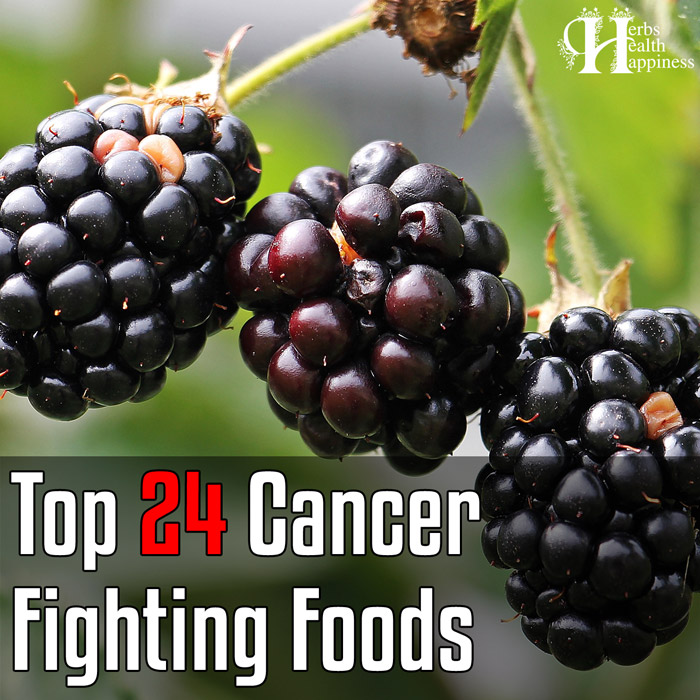 Top 24 Best Researched Cancer Fighting Foods