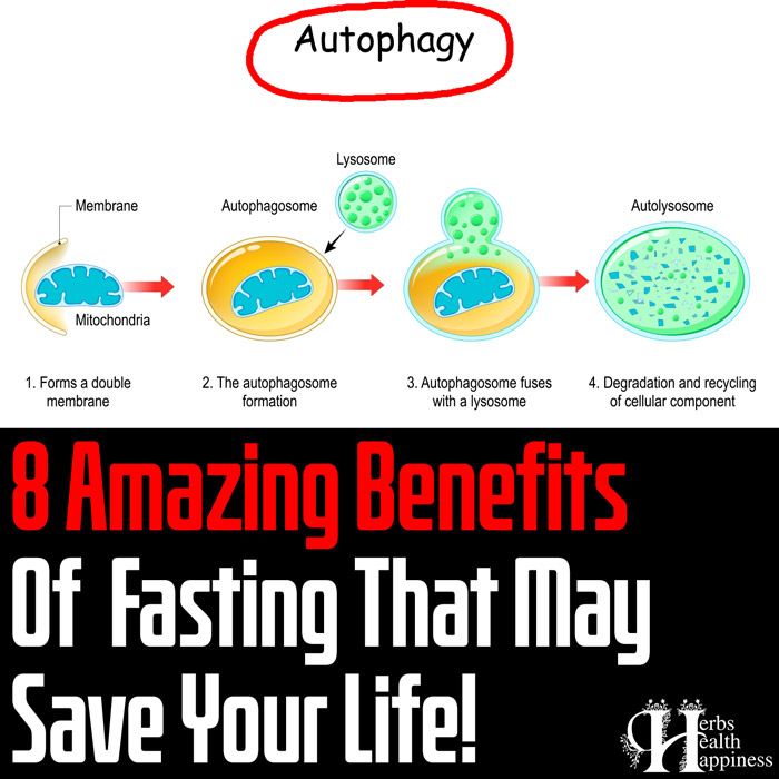 What Is Autophagy - 8 Amazing Benefits Of Fasting That May Save Your Life