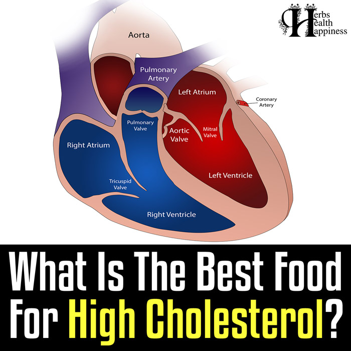 What Is The Best Food For High Cholesterol