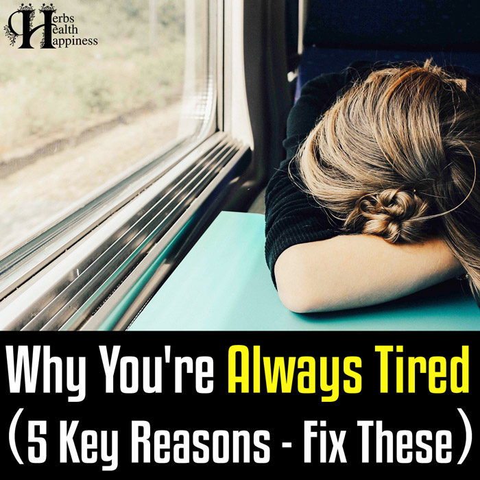 Why You're Always Tired (5 Key Reasons - Fix These)