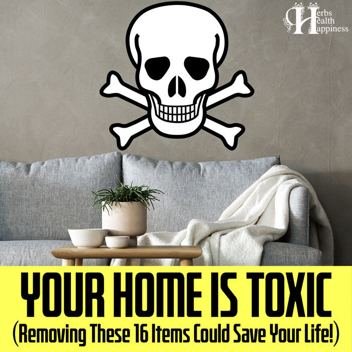 Your Home IS TOXIC (And These Simple Tests Could Save Your Life)