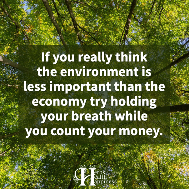 If You Really Think The Environment Is Less Important Than The Economy