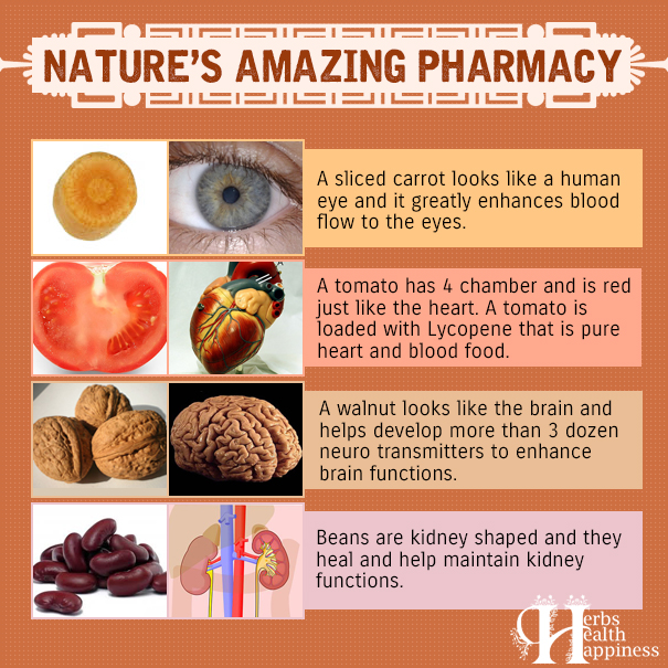 Nature’s Amazing Pharmacy